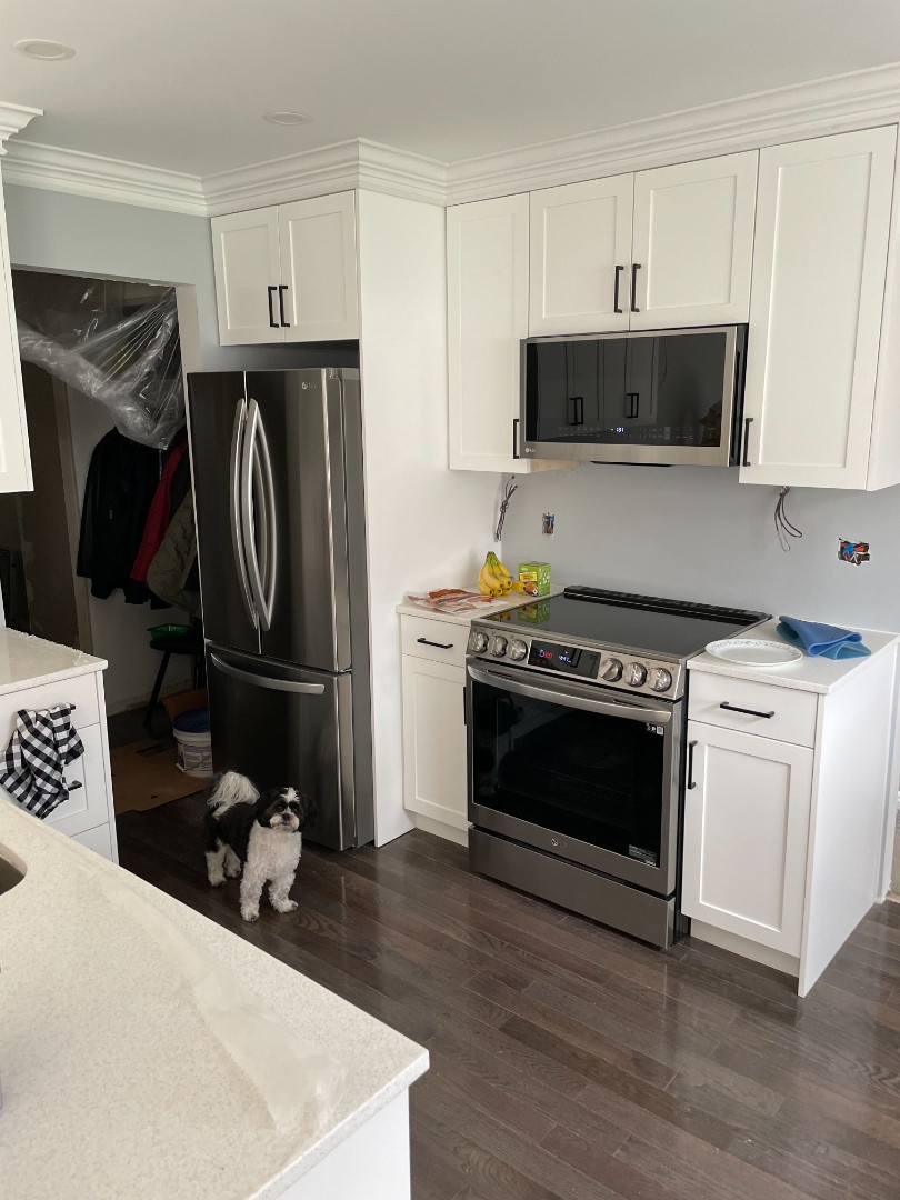 White Oaks Kitchen Reno image